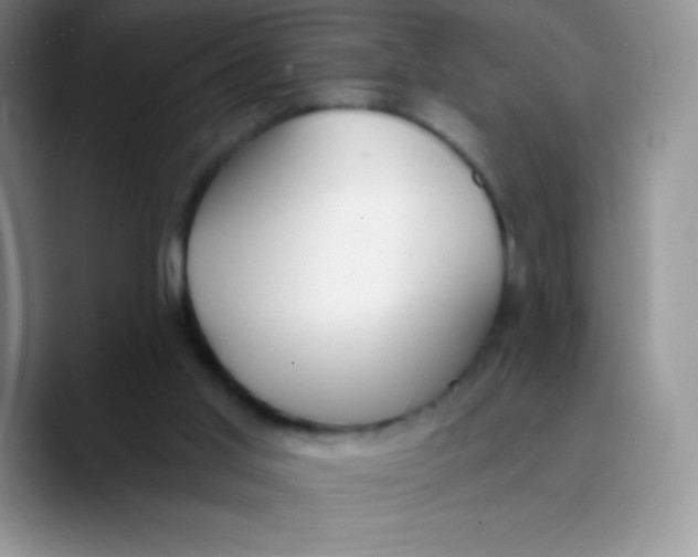 X0000089850013200707191910