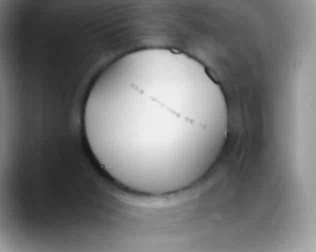 X0000089850015200707191910