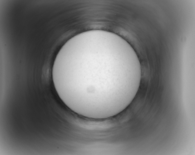 X0000089850016200707191910