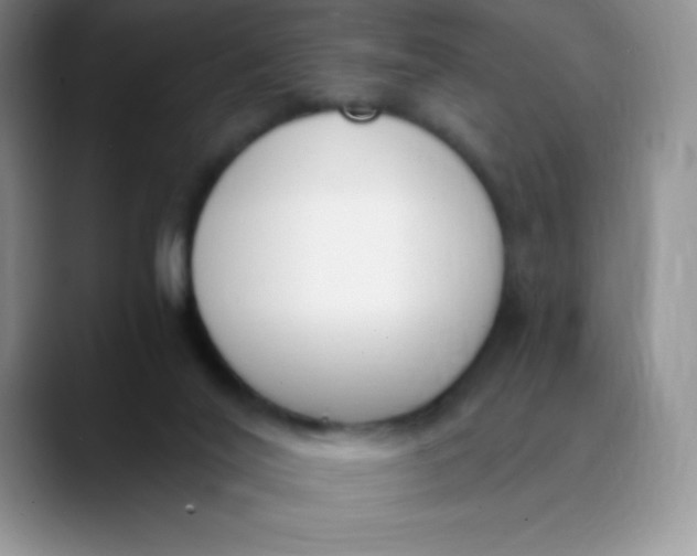 X0000089850020200707191910