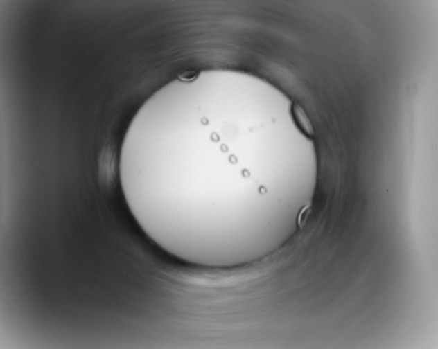 X0000089850021200707191910