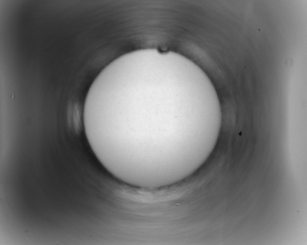 X0000089850022200707191910