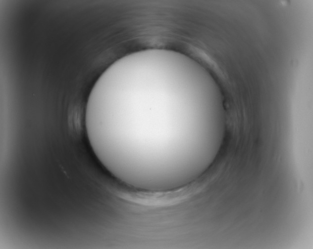 X0000089850023200707191910