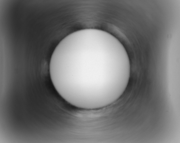 X0000089850025200707191910