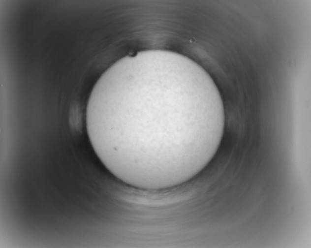 X0000089850026200707191910