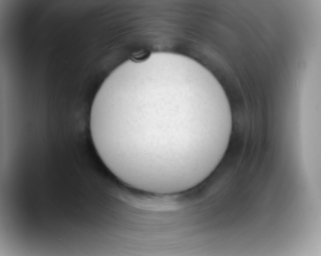 X0000089850032200707191910