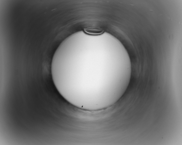 X0000089850035200707191910