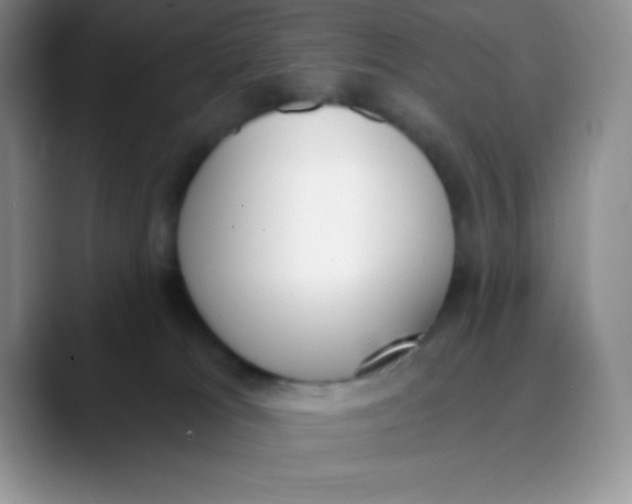 X0000089850037200707191910