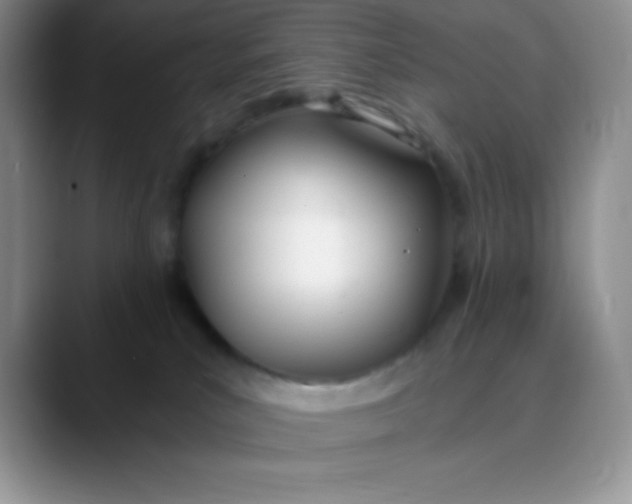 X0000089850039200707191910