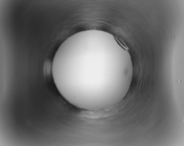 X0000089850041200707191910