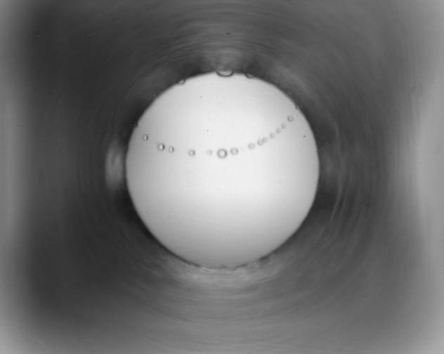 X0000089850042200707191910