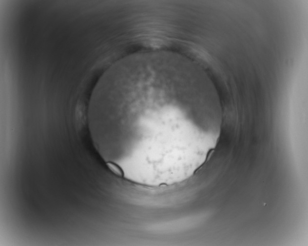 X0000089850043200707191910