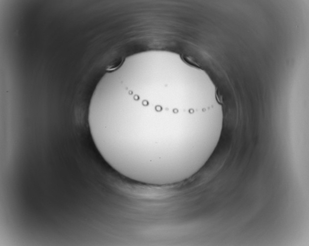 X0000089850044200707191910