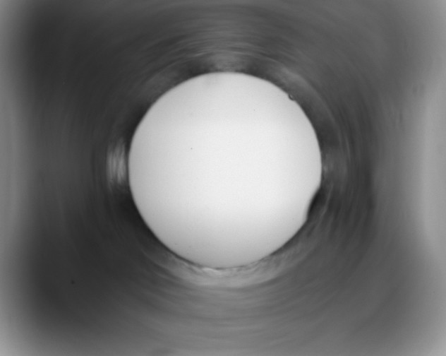 X0000089850046200707191910