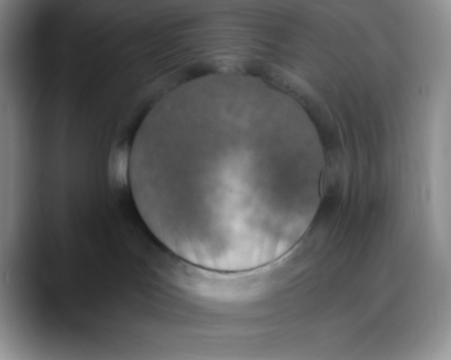 X0000089850047200707191910