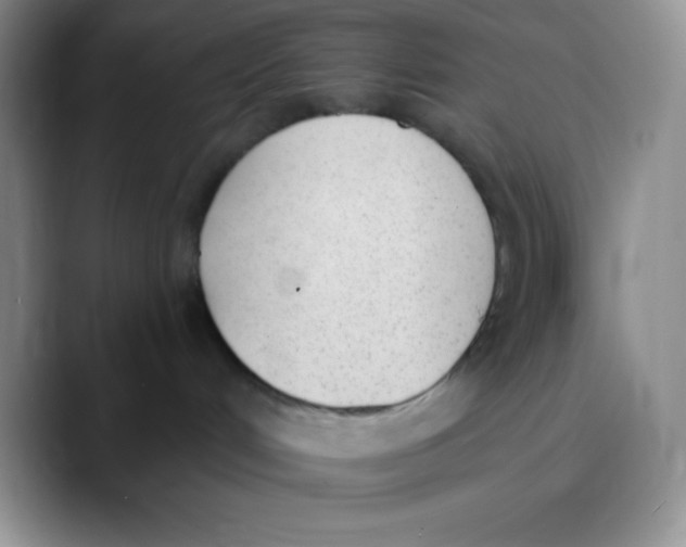 X0000089850048200707191910