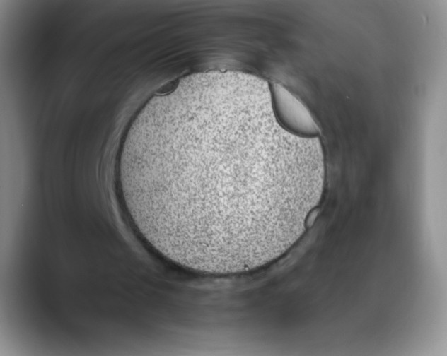 X0000089850049200707191910