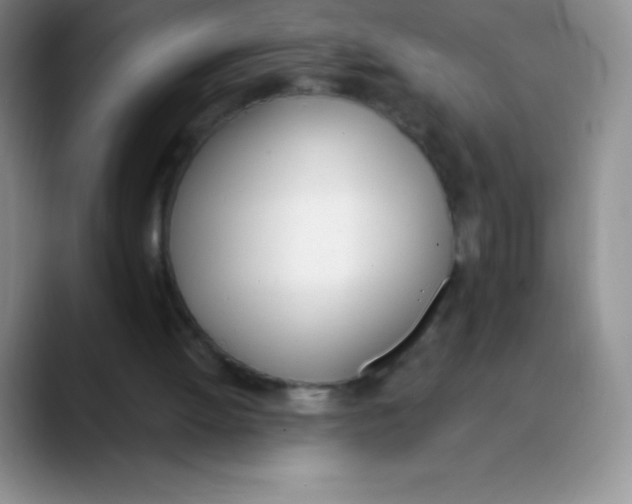 X0000089850052200707191910