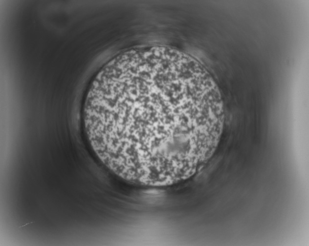 X0000089850053200707191910