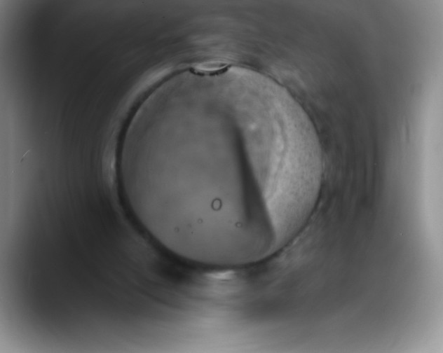 X0000089850054200707191910