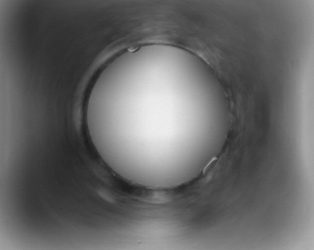 X0000089850056200707191910