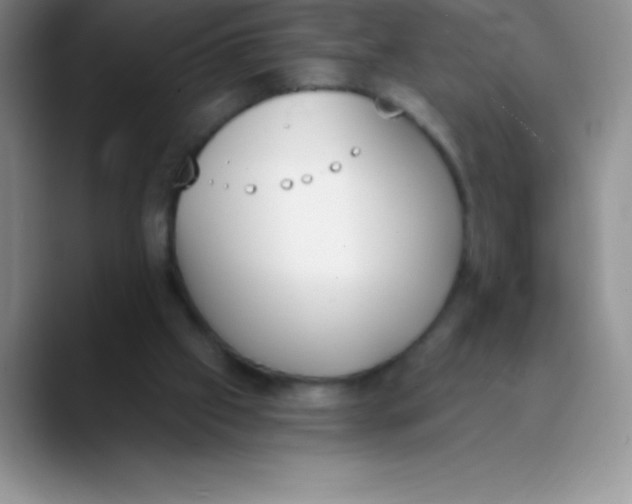 X0000089850057200707191910