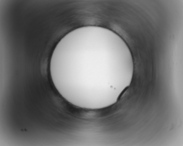 X0000089850058200707191910