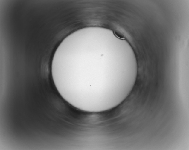 X0000089850059200707191910