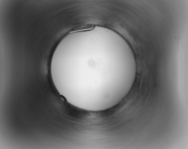 X0000089850060200707191910