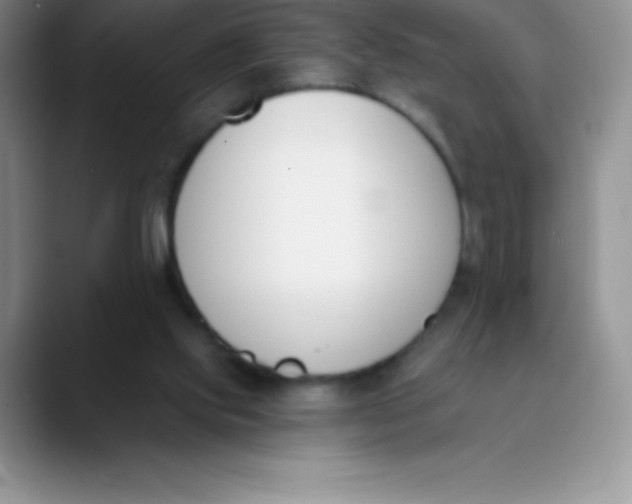 X0000089850061200707191910