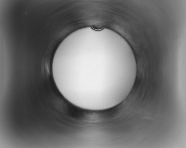 X0000089850062200707191910