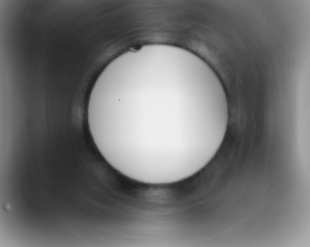 X0000089850063200707191910