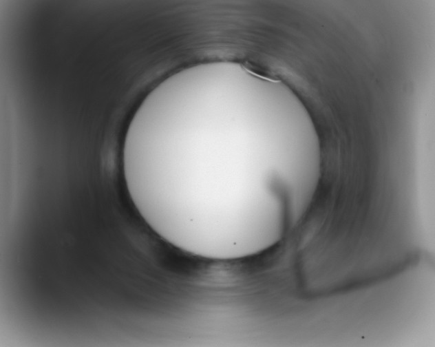 X0000089850064200707191910