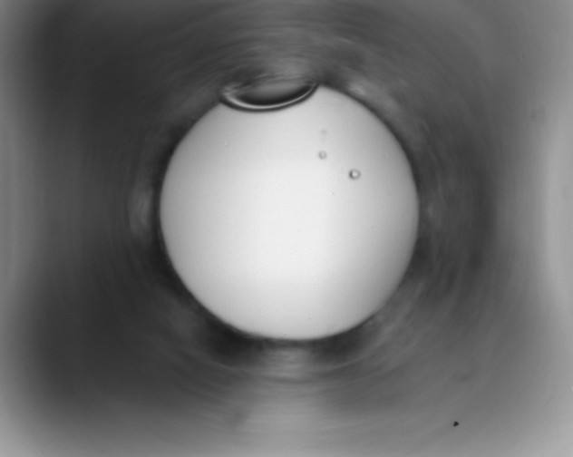 X0000089850066200707191910