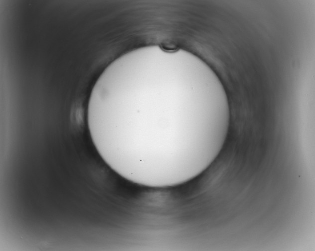 X0000089850067200707191910