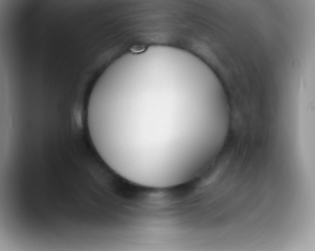 X0000089850068200707191910