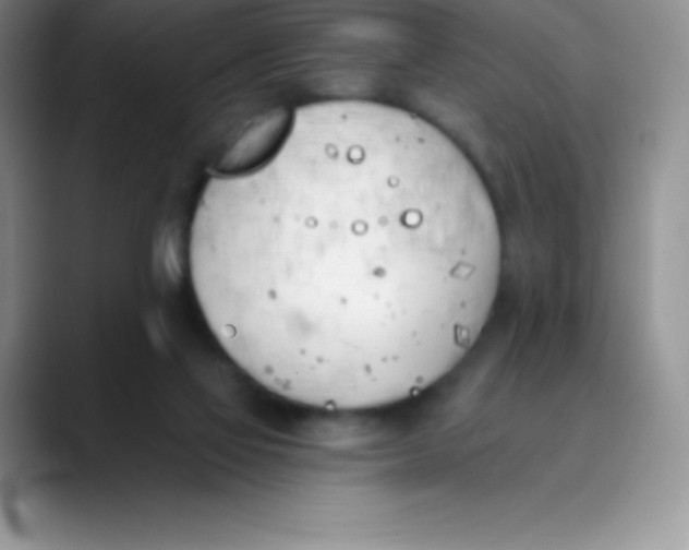 X0000089850069200707191910