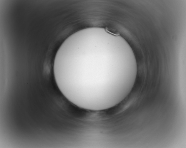 X0000089850072200707191910