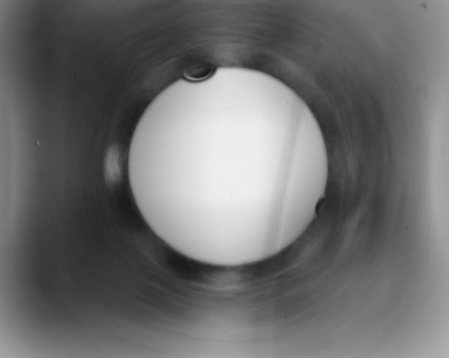 X0000089850075200707191910