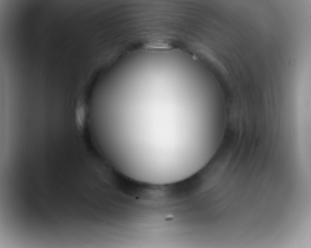 X0000089850076200707191910