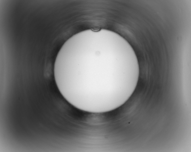 X0000089850077200707191910