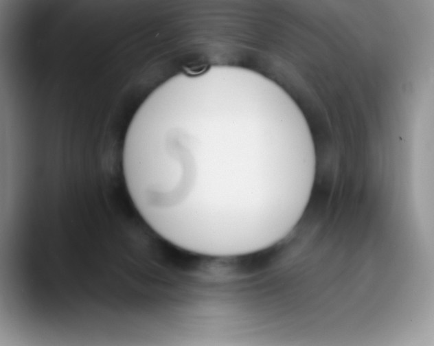 X0000089850078200707191910