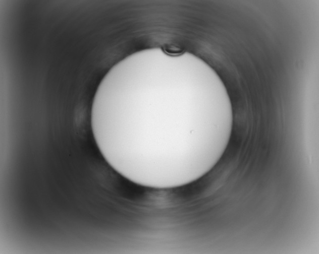 X0000089850079200707191910