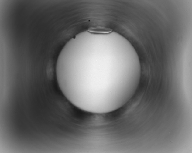 X0000089850080200707191910