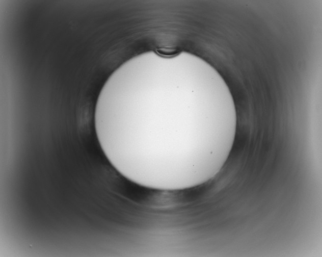 X0000089850082200707191910