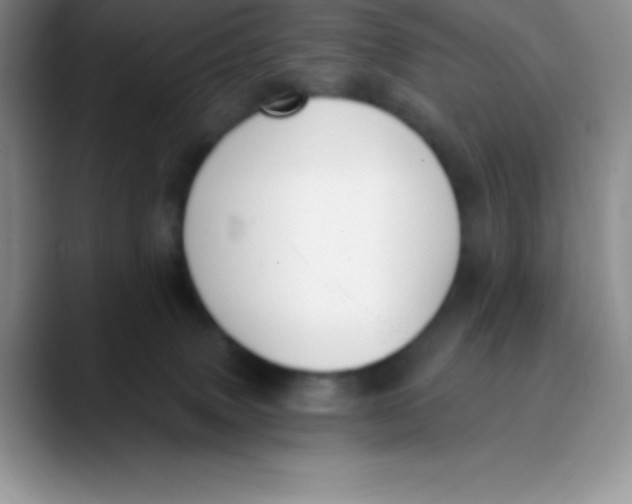 X0000089850083200707191910