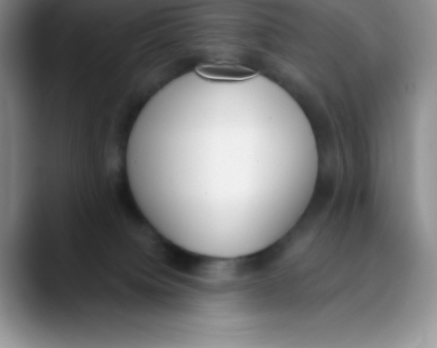 X0000089850084200707191910