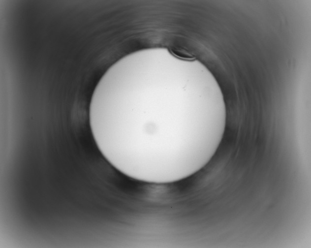 X0000089850085200707191910