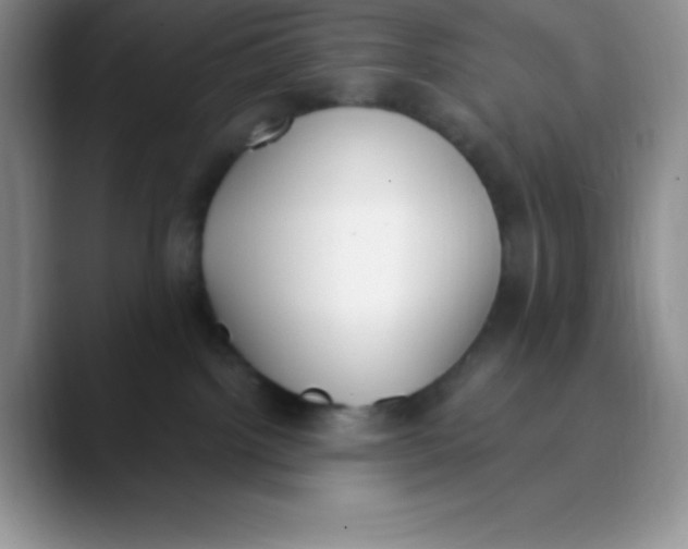 X0000089850092200707191910