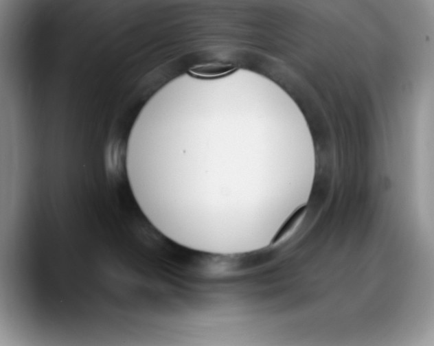 X0000089850094200707191910